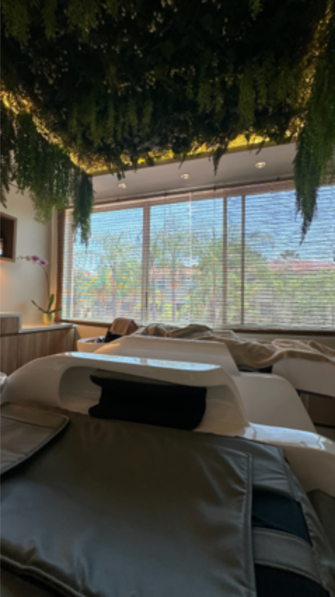 Interior de Hair Culture con lavacabezas y vegetación